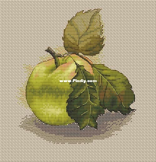 Ekaterina Volkova - An Apple.jpg
