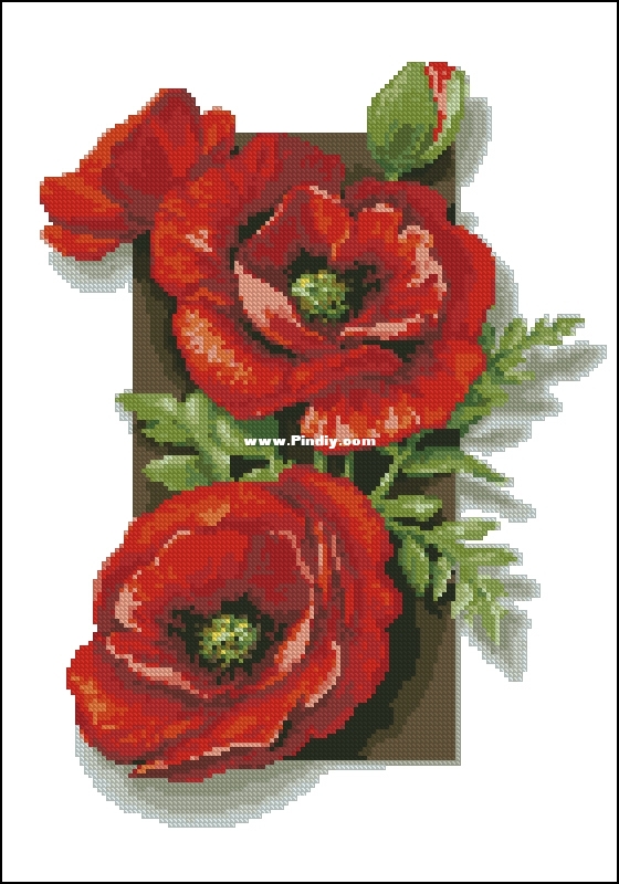HP10172 Mohnblumen 3D.jpg