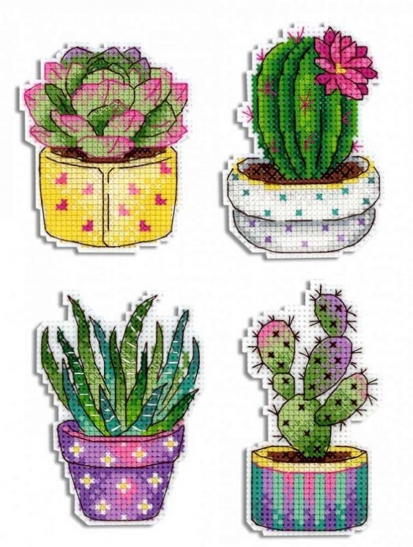 M.P. Studia P-419 OK Succulents Funny Guys.jpg