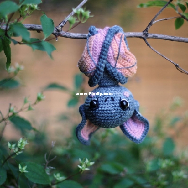 angelina -bat batty.jpg