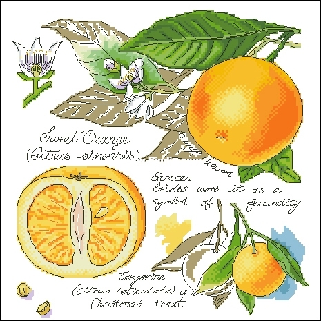 NARANJAS.jpg