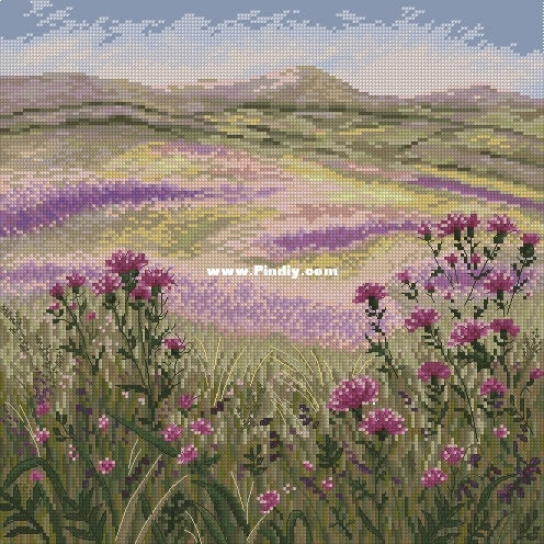 Olanta VN-022 OK XXX.JPG