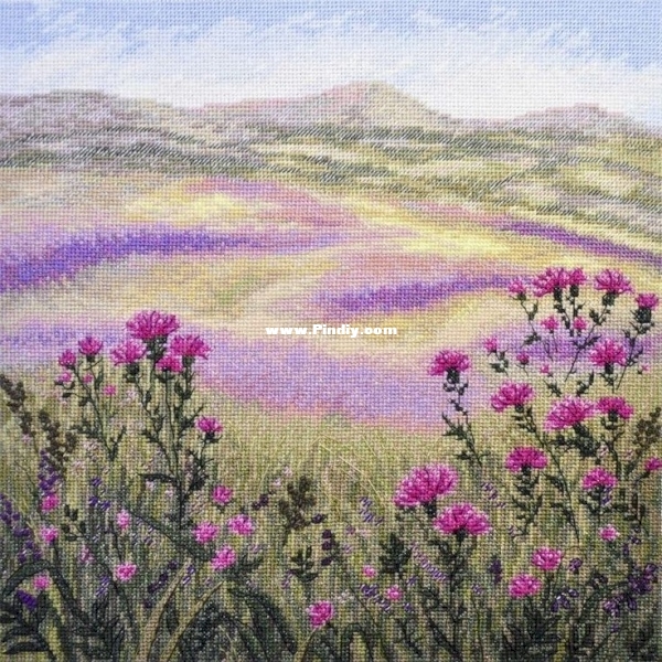 Olanta VN-022 OK Meadow Secrets.jpg