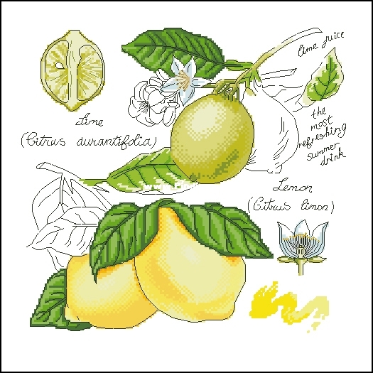 LEMON.jpg