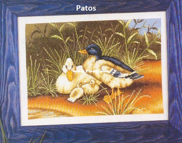 131.jpg