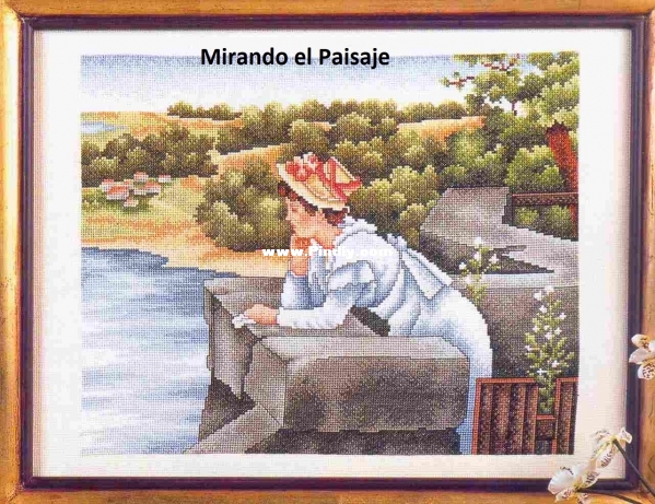 Mirando el Paisaje foto.jpg
