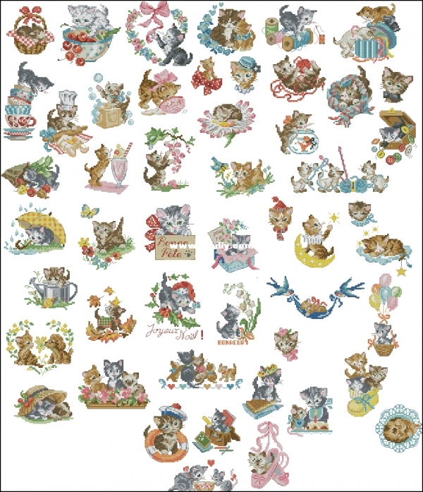 La grande histoires des chatons.jpg