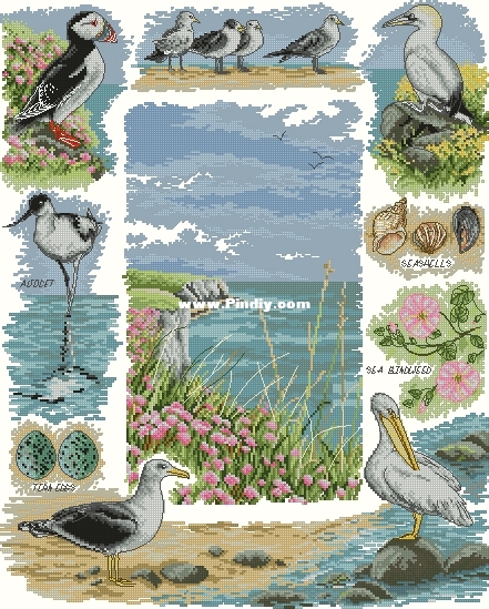 Anchor PCE875 OK XXX.JPG