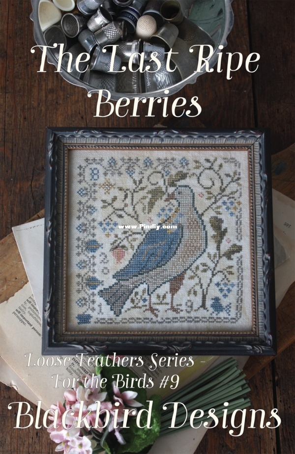 Loose Feathers Series - For the Birds #9 The Last Ripe Berries.jpg