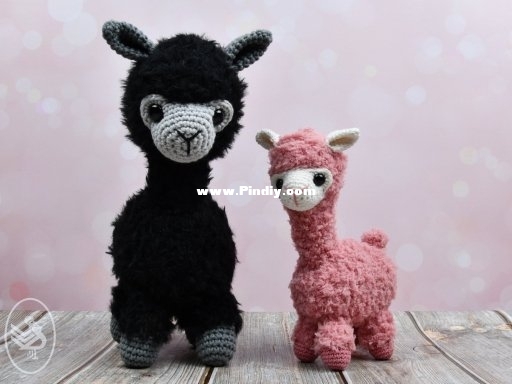alpaca-alexia(3).jpg