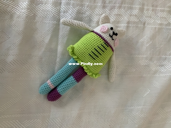 Lilleliis - Mari-Liis Lille - Rag Doll Cat