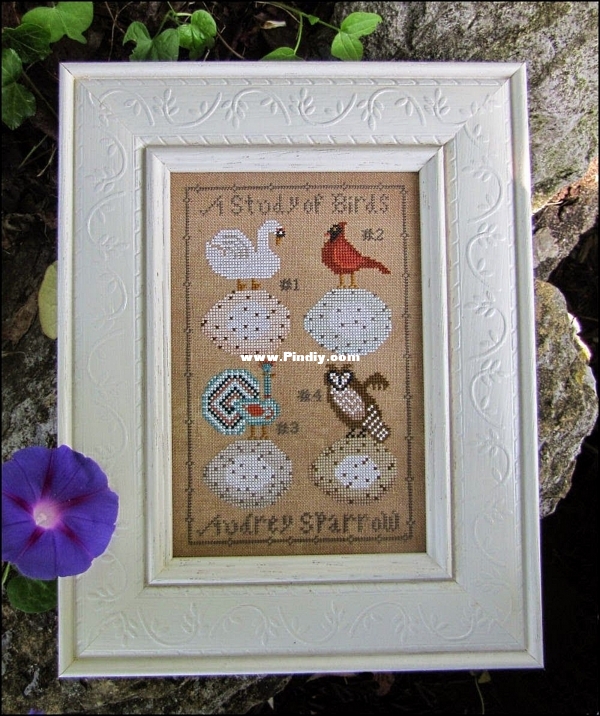 Kathy Barrick Bird Study.jpg
