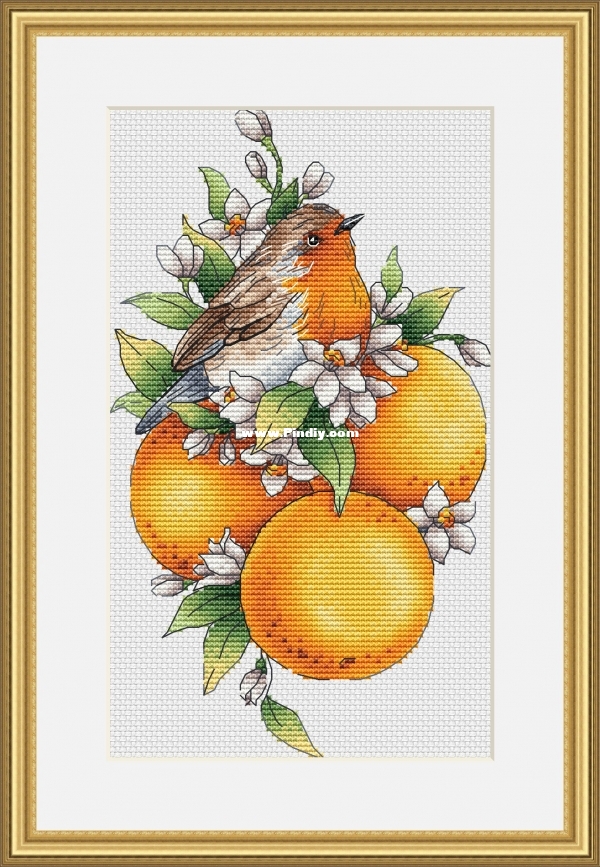 Birdie with Tangerines.jpg