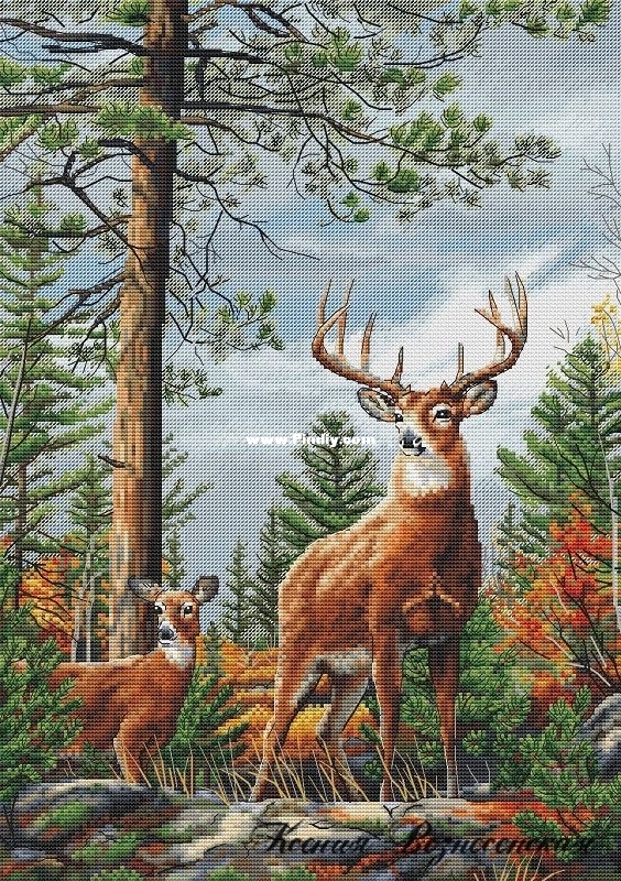 deer.jpg