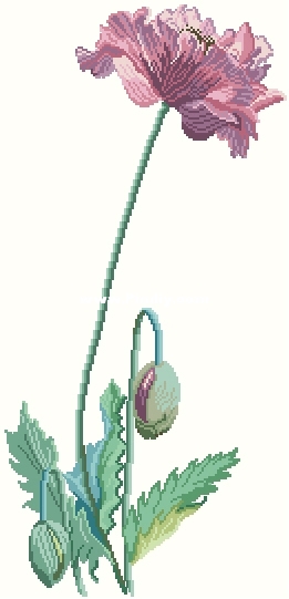 DMC XC 0653 OK XXX.JPG