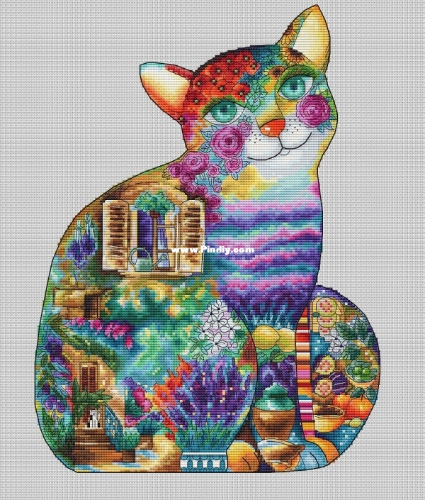 cat.jpg
