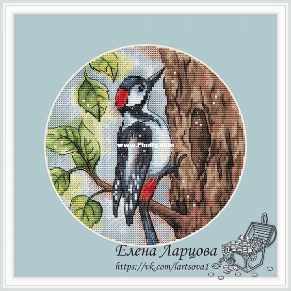 Woodpecker.jpg
