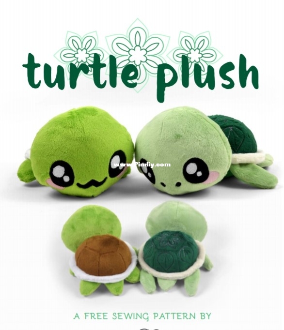 turtle.jpg