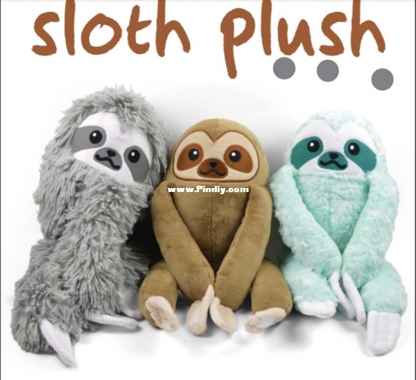 sloth.jpg