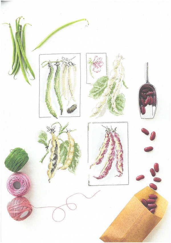 Mon Jardin Potager 2018 OK Les bons Legumes de Mamie .jpg