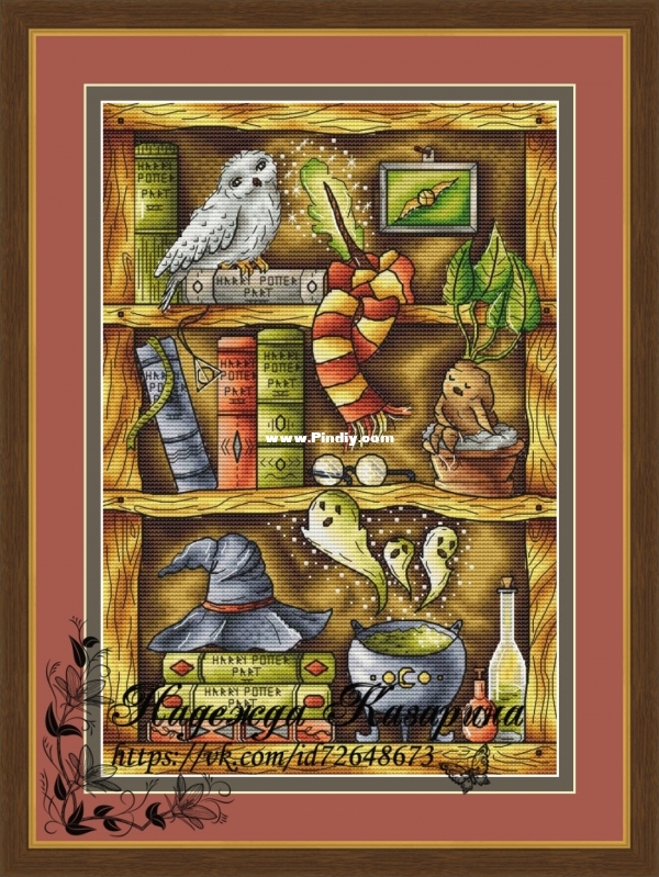Harry Potter Magic Shelf.jpg