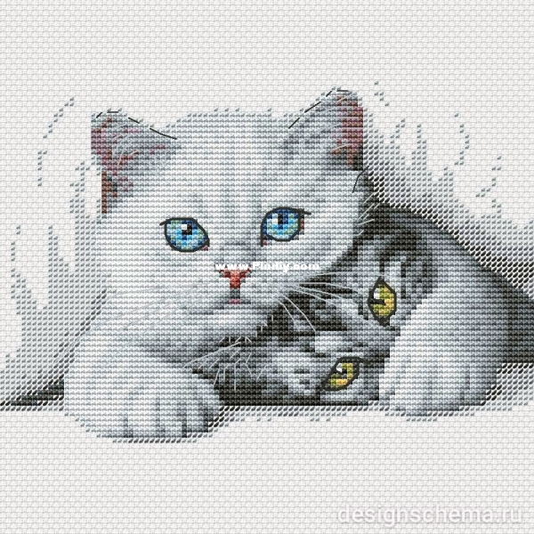 Kittens.jpg
