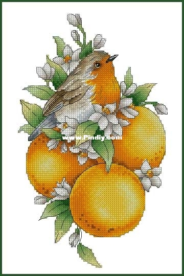 Svetlana_Sichkar_Birdie_with_Tangerines.jpg