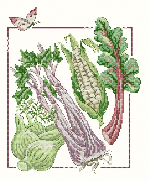 Mon Jardin Potager 2018 OK Les Bons Legumes de Mamie - VE 61.JPG