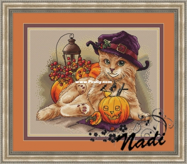 Cat - Pumpkin Keeper.jpg