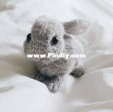 babybunny.jpg