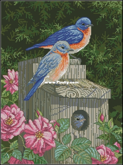 43960 Garden Bluebirds.jpg