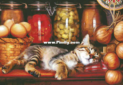 HAECRMRQSK 20219 QS Ye Old Kitchen Kitten.png