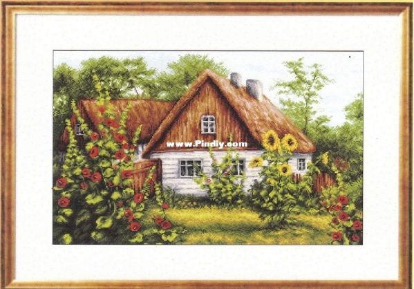 cover.jpg