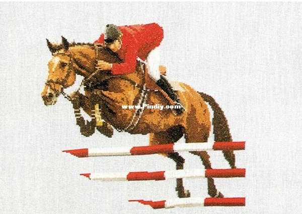 1003 Show Jumping.jpg