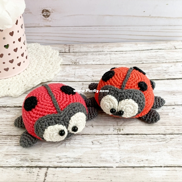 ladybug.jpg