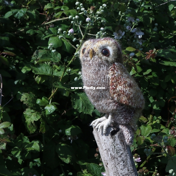 Tawny10_medium2.jpg