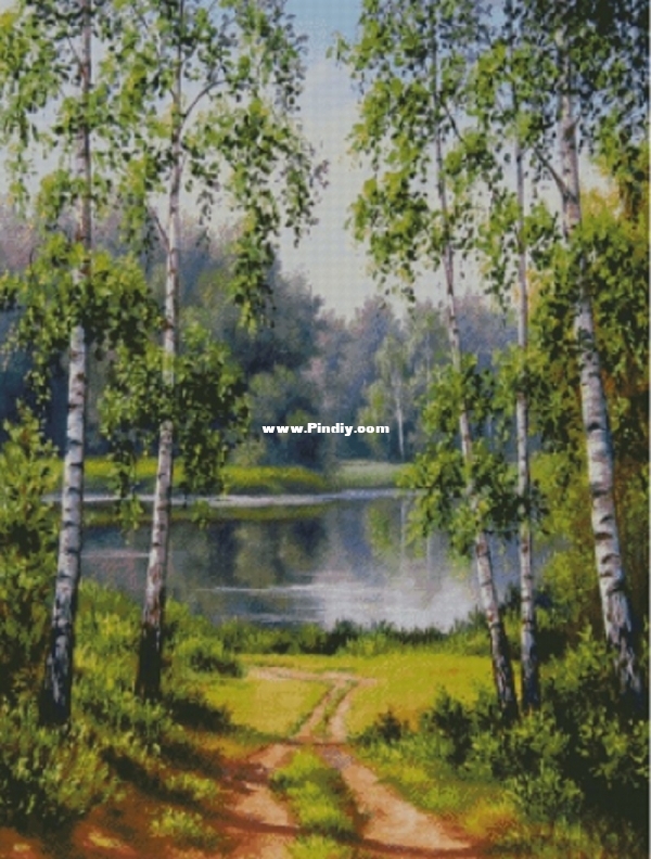 Chimera birches near the water.jpg