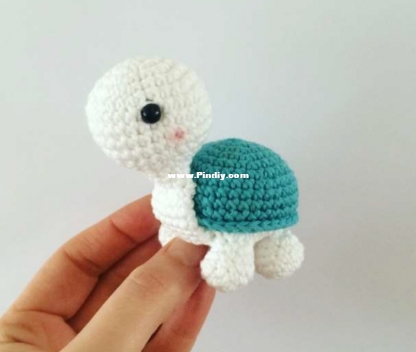 Little Turtle.jpg