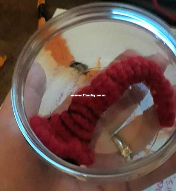 mongoliandeathworm3_medium2.jpg