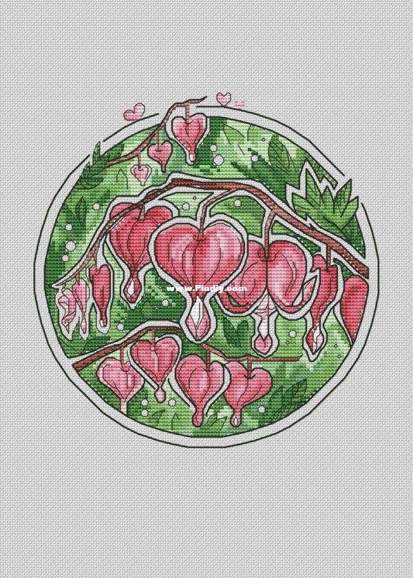 Dicentra.jpg