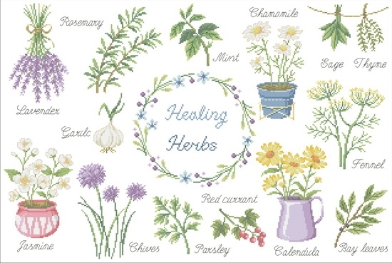SOG180-HEALING HERB2.jpg