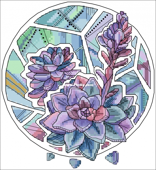 Okneas Succulents 0.jpg