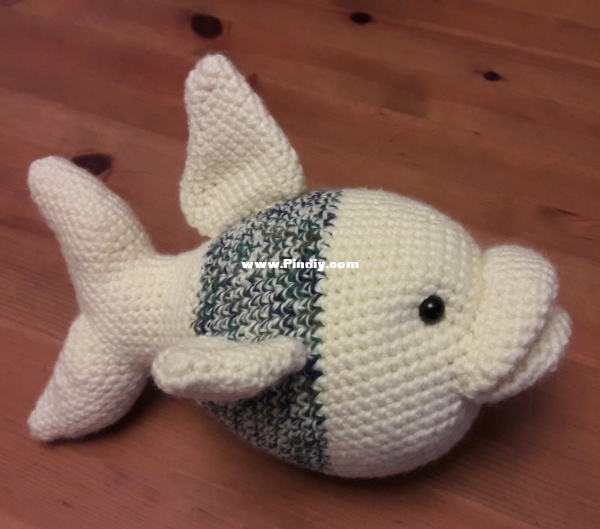 2020 08 13 Finley Fish (1).jpg