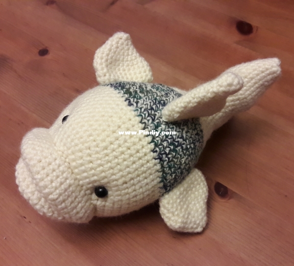 2020 08 13 Finley Fish (3).jpg