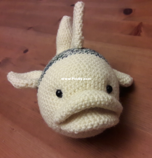 2020 08 13 Finley Fish (4).jpg