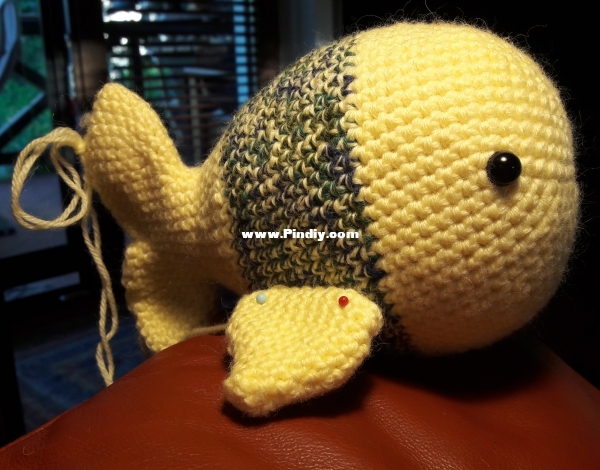 2020 08 13 Finley Fish (2).jpg