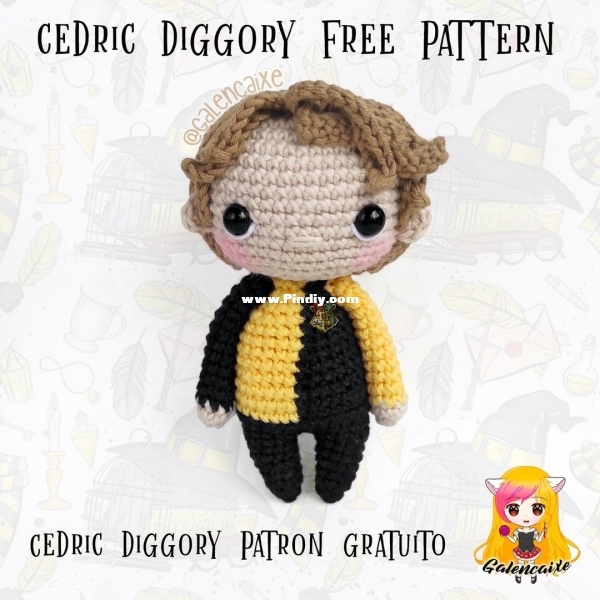 Galencaixe Cedric Diggory.jpg