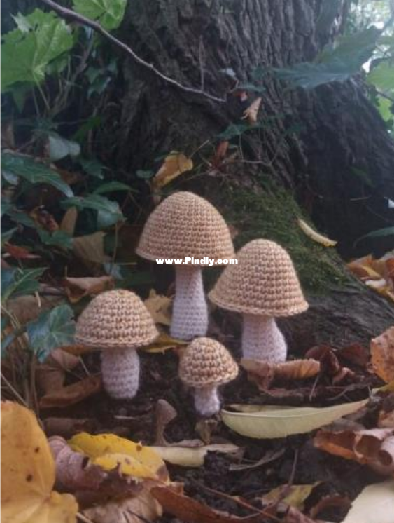 Mushrooms.png