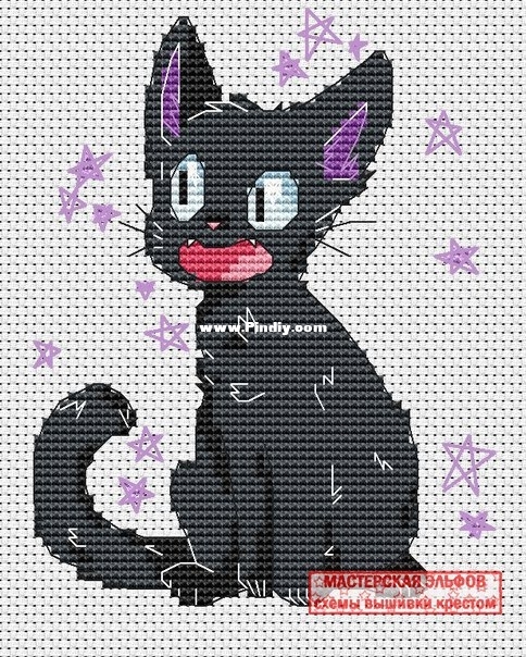 Kitty with a Smile.jpg