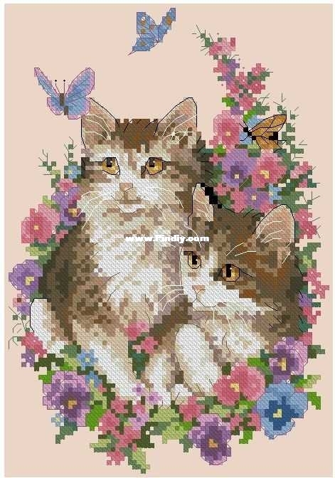 003105zjnzzb4lxdsq0yc0.jpg